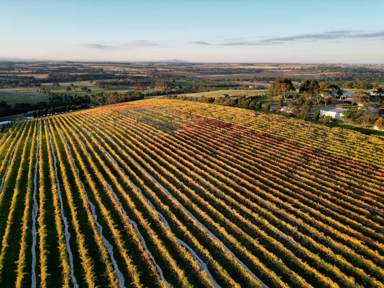 Barwon Ridge Wines